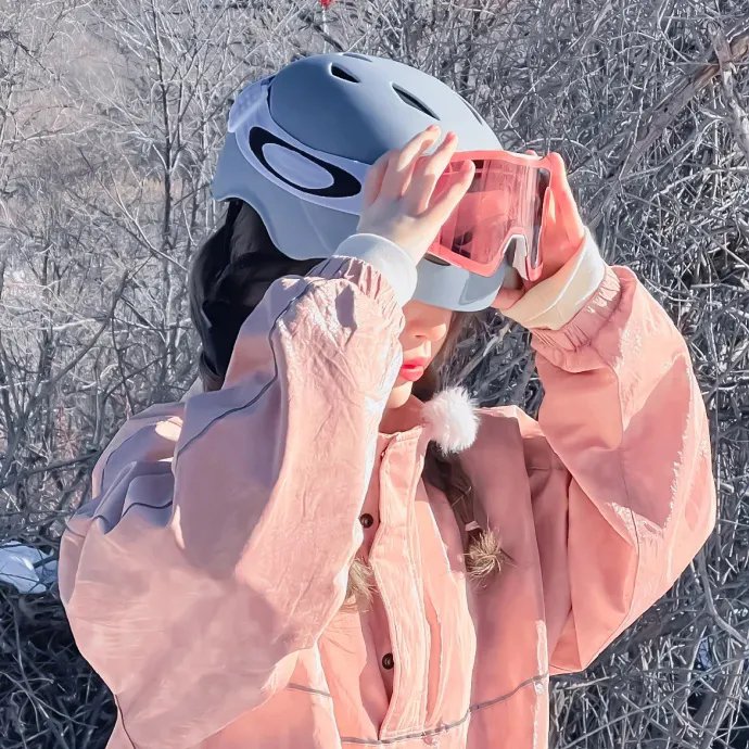 极限特工:终极回归